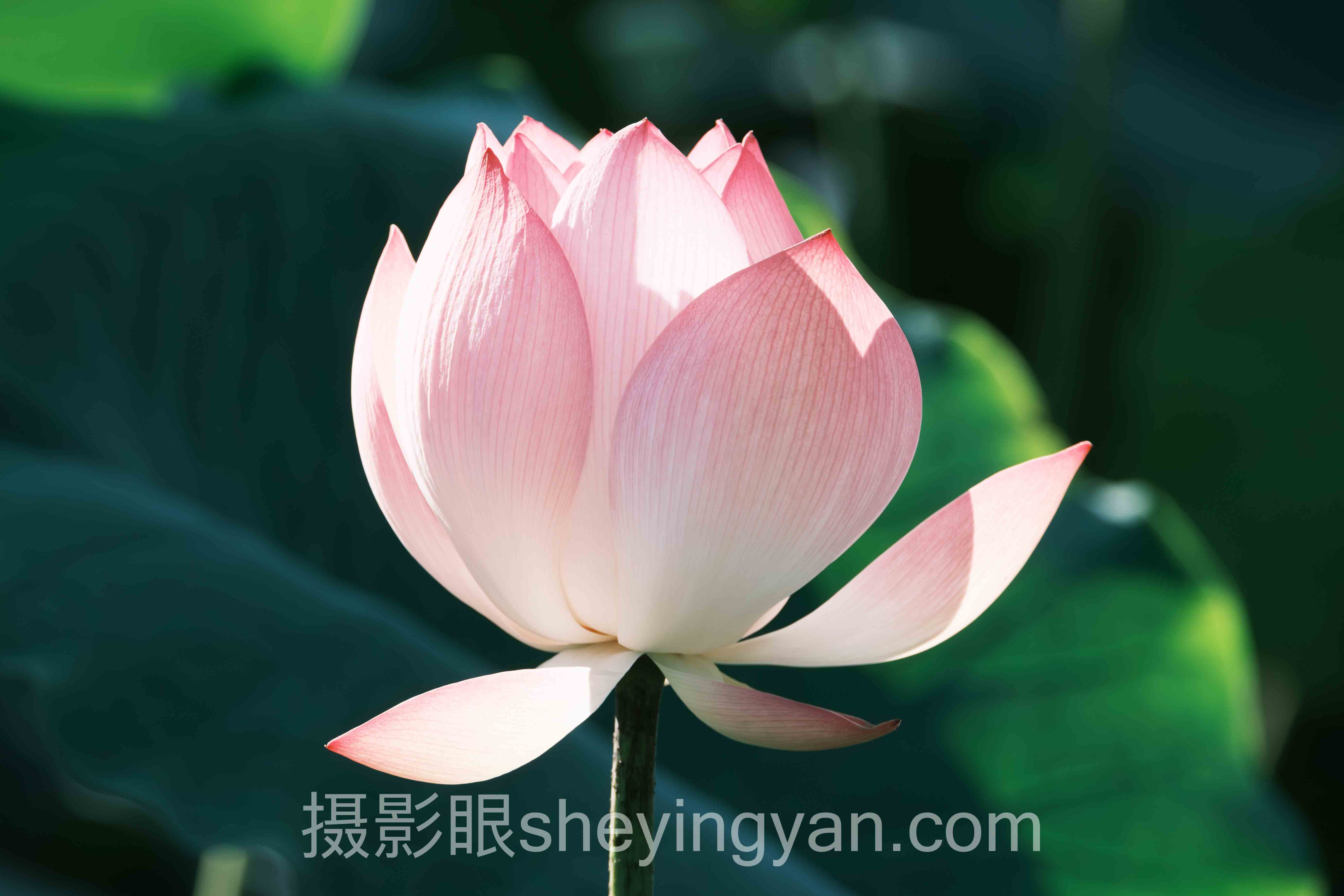 摄影进步从入门到精通