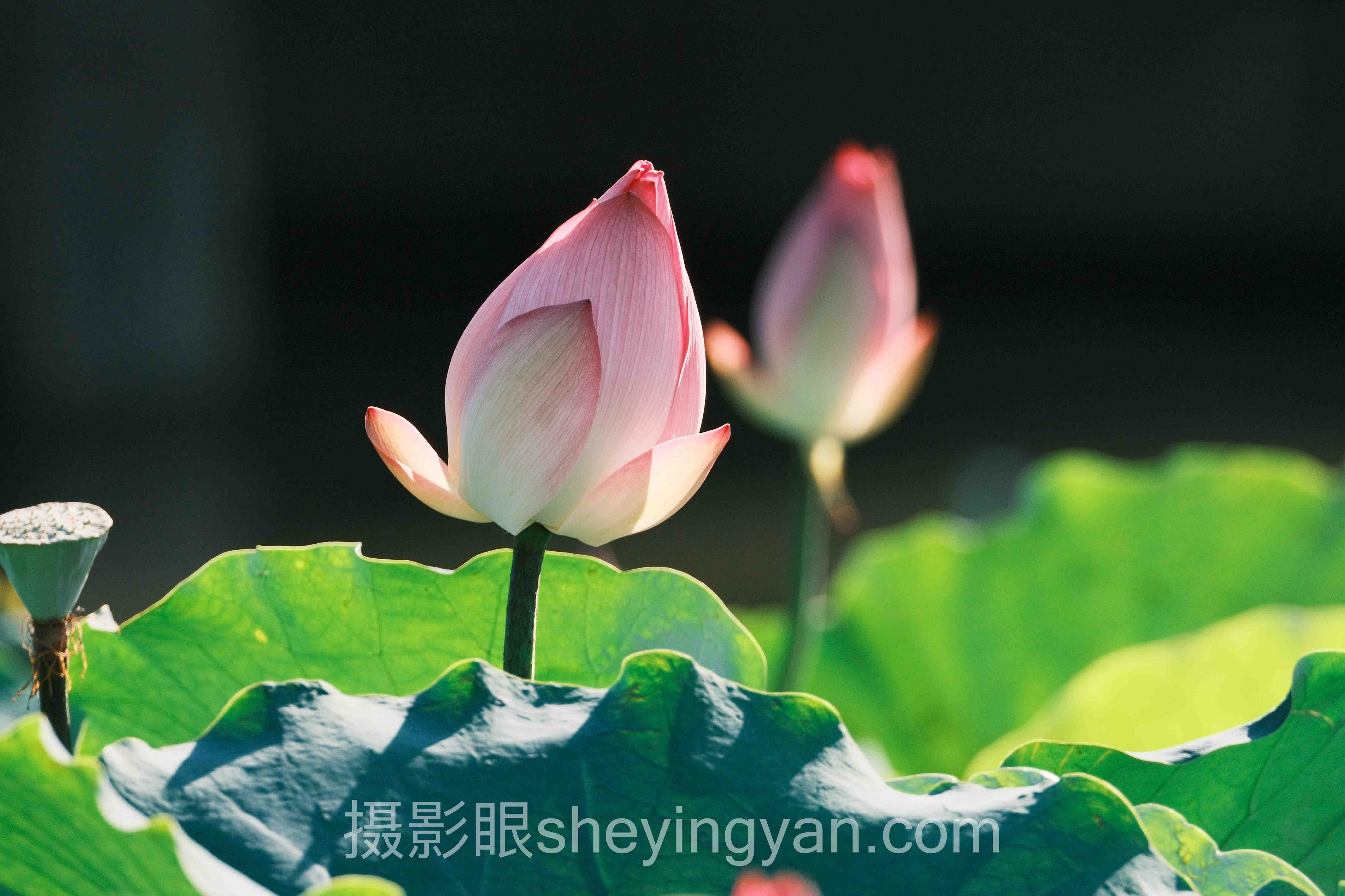 关于摄影眼测试题的5个关键问题，一次说清