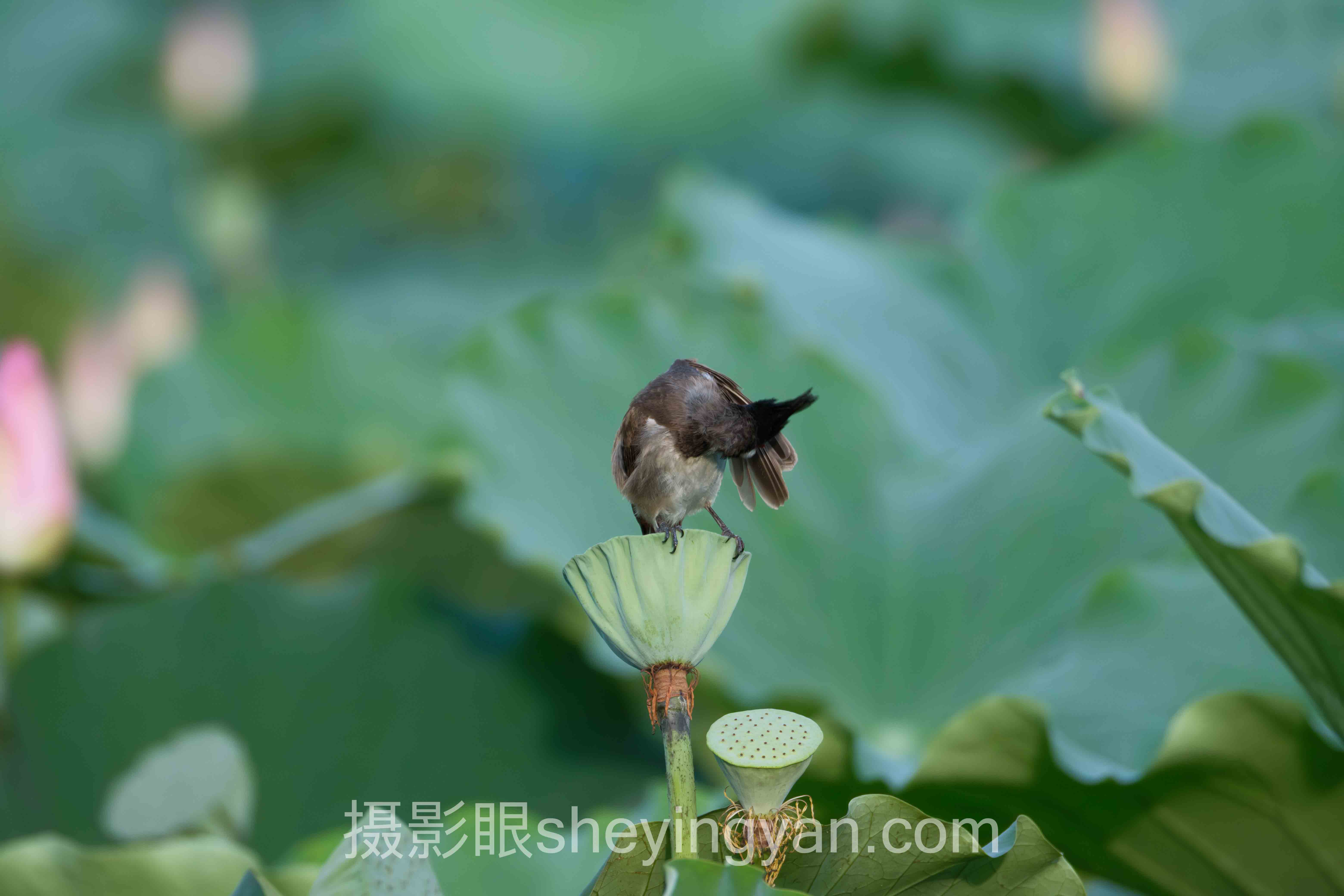 怎么知道自己拍照好不好看?3个真实案例告诉你答案