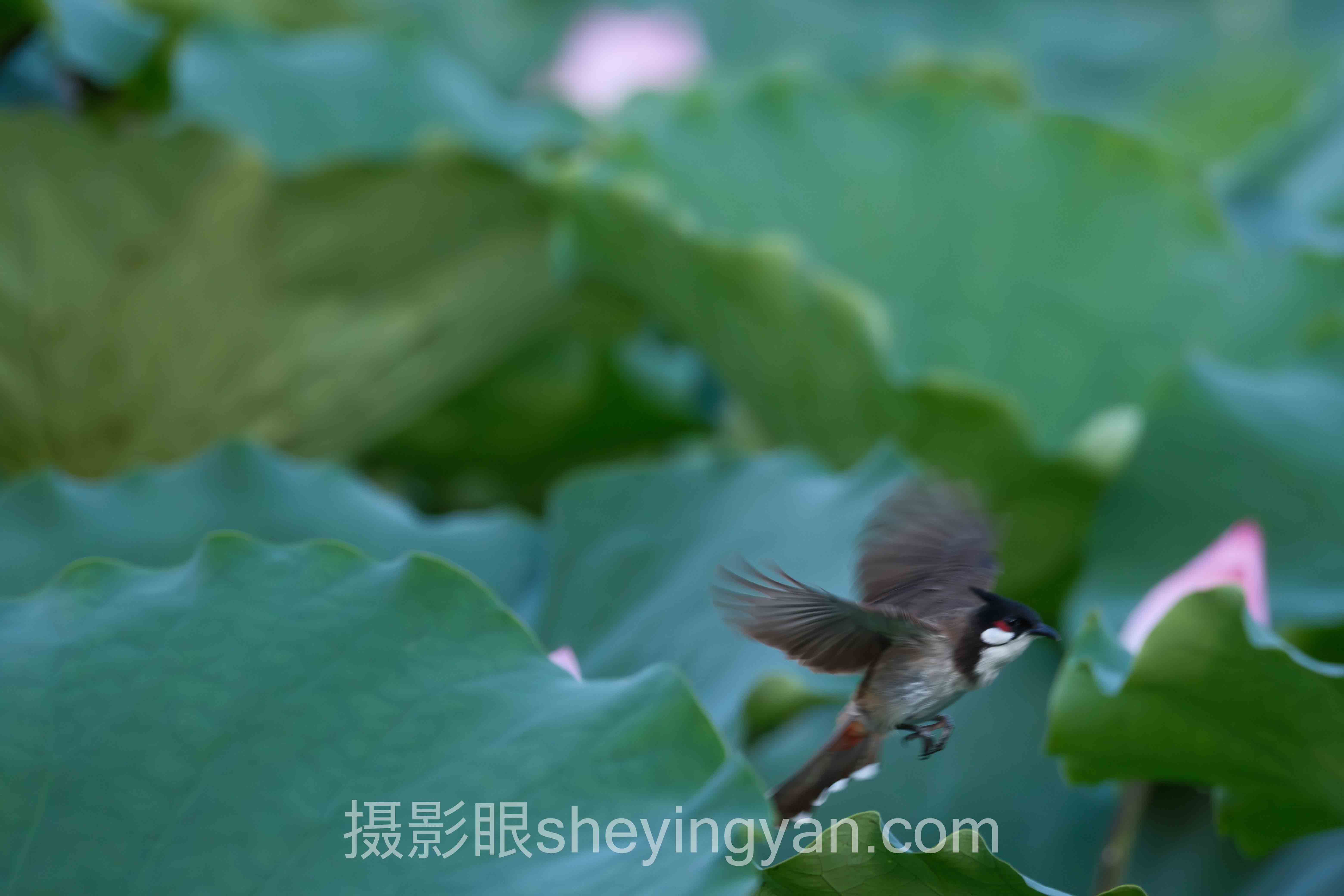 学摄影要花多少钱全问答:你想知道的都在这里