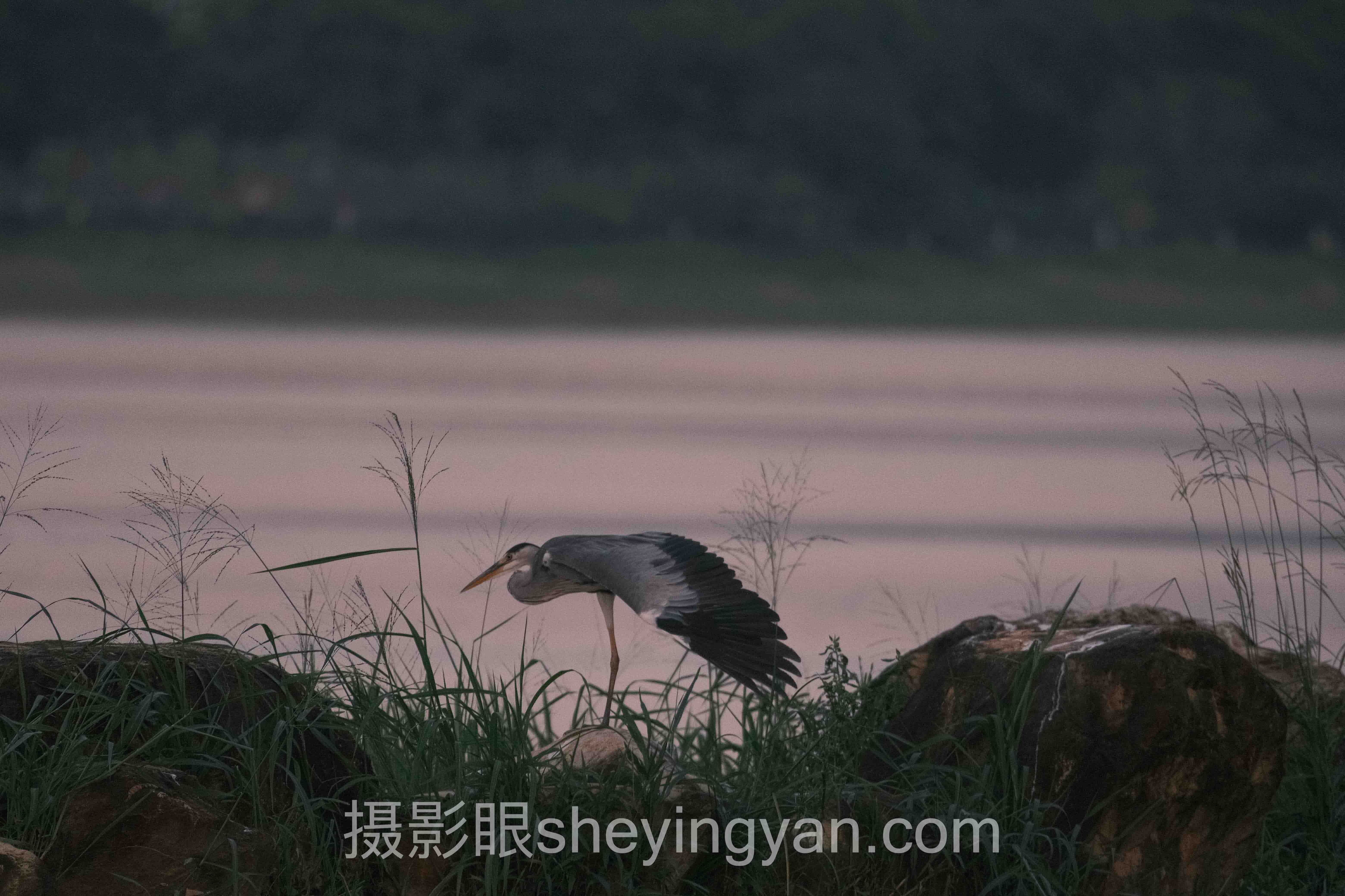 摄影后期处理能弥补随手拍吗深度评测:3种补救路线全面解析