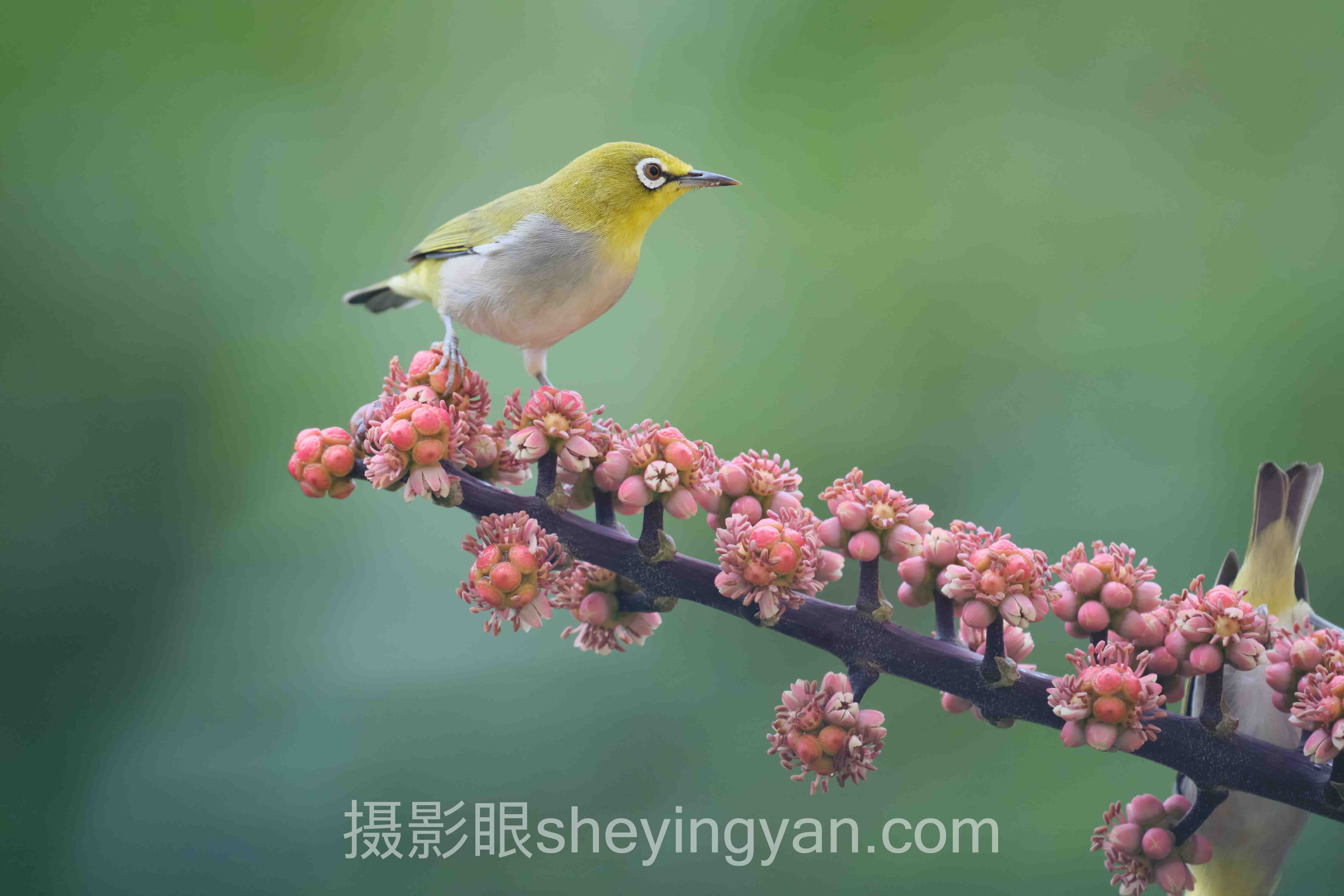 对话行业专家:照片点评与AI照片评分的关键洞察与前瞻