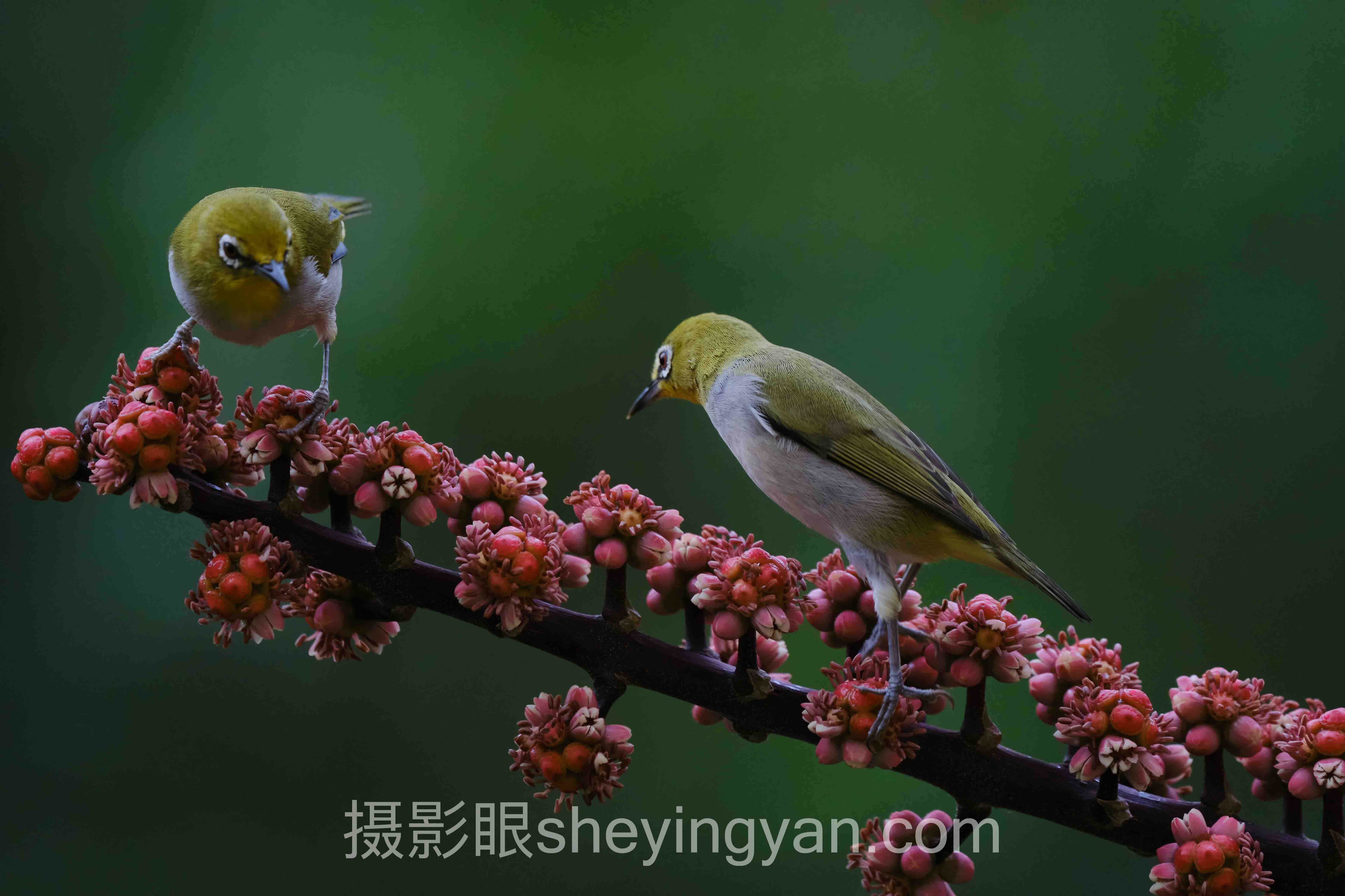 色彩搭配全景解读:问题根源与破局之道