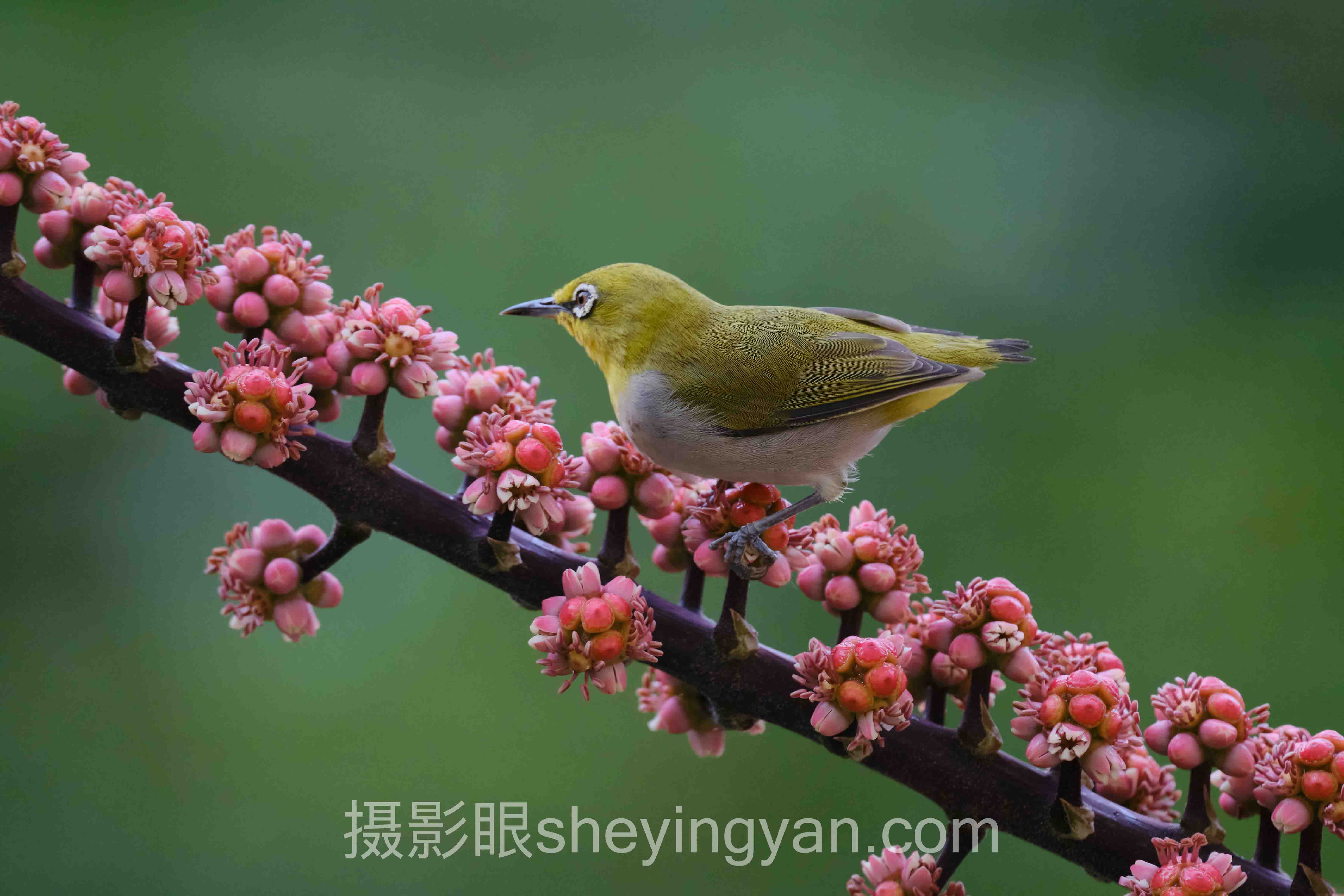 专家深度解读：新手怎么测试摄影眼的误区与实战路径