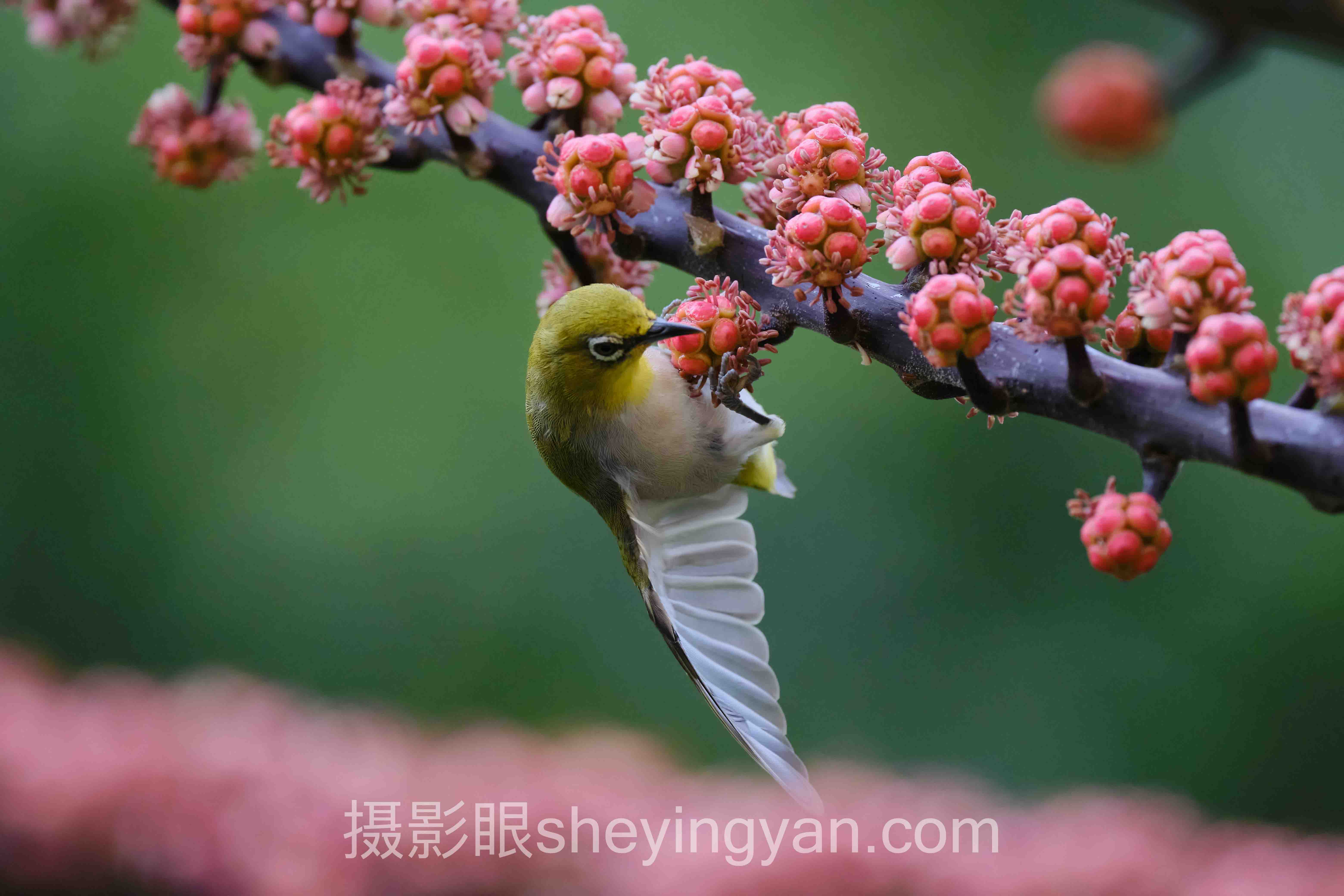 摄影进步从入门到精通