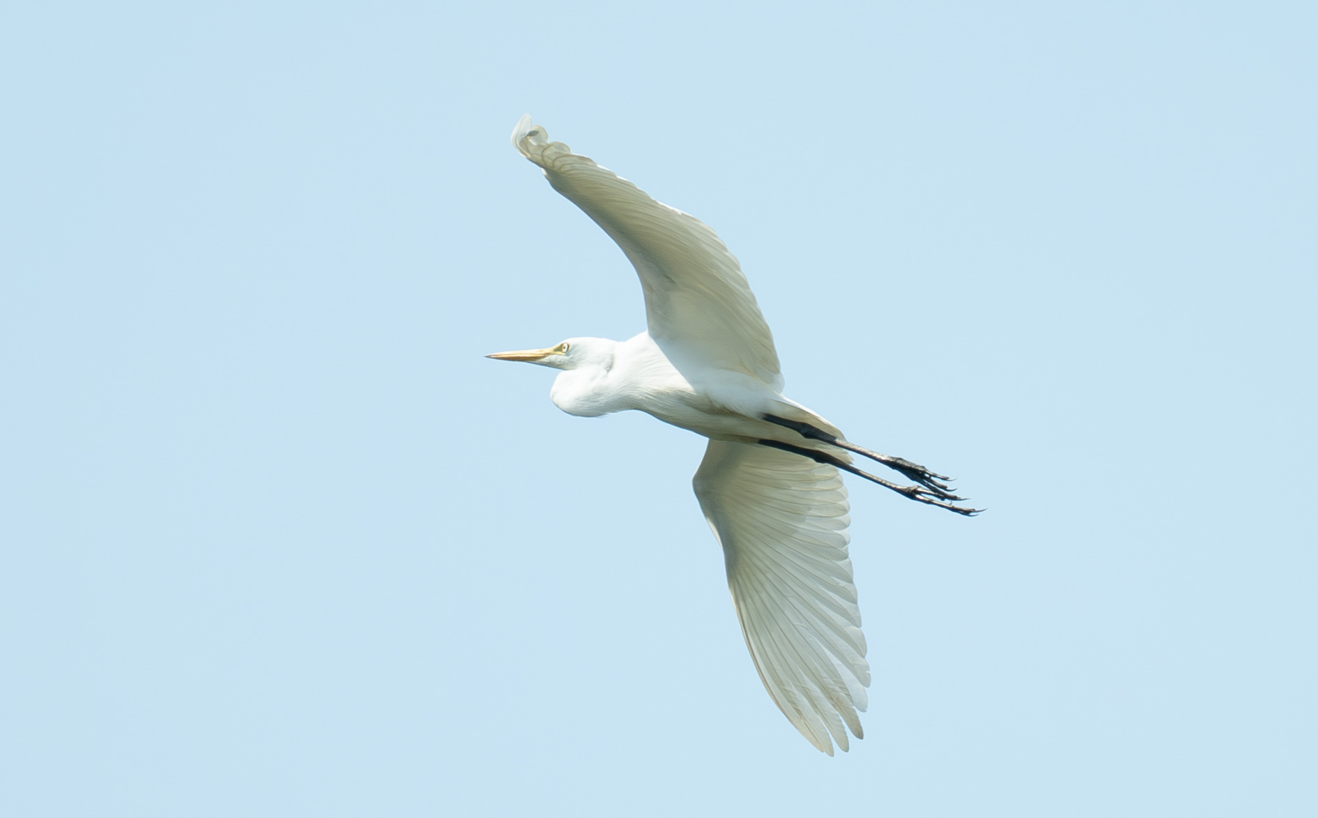 如何培养摄影审美全问答：你想知道的都在这里